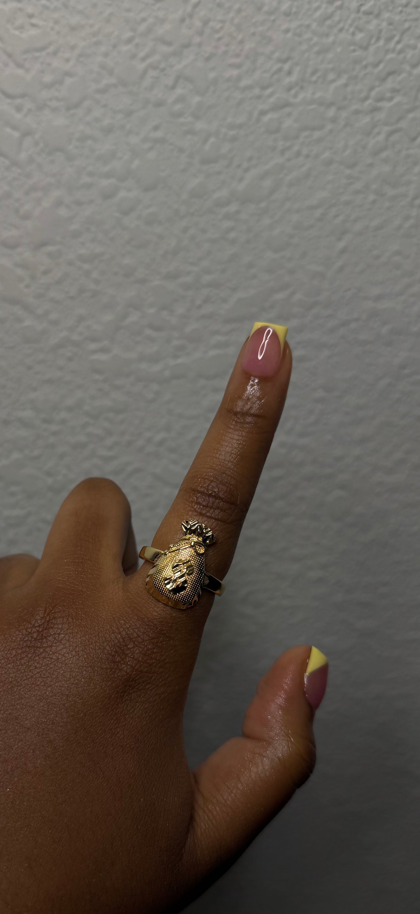 Money Bag Ring