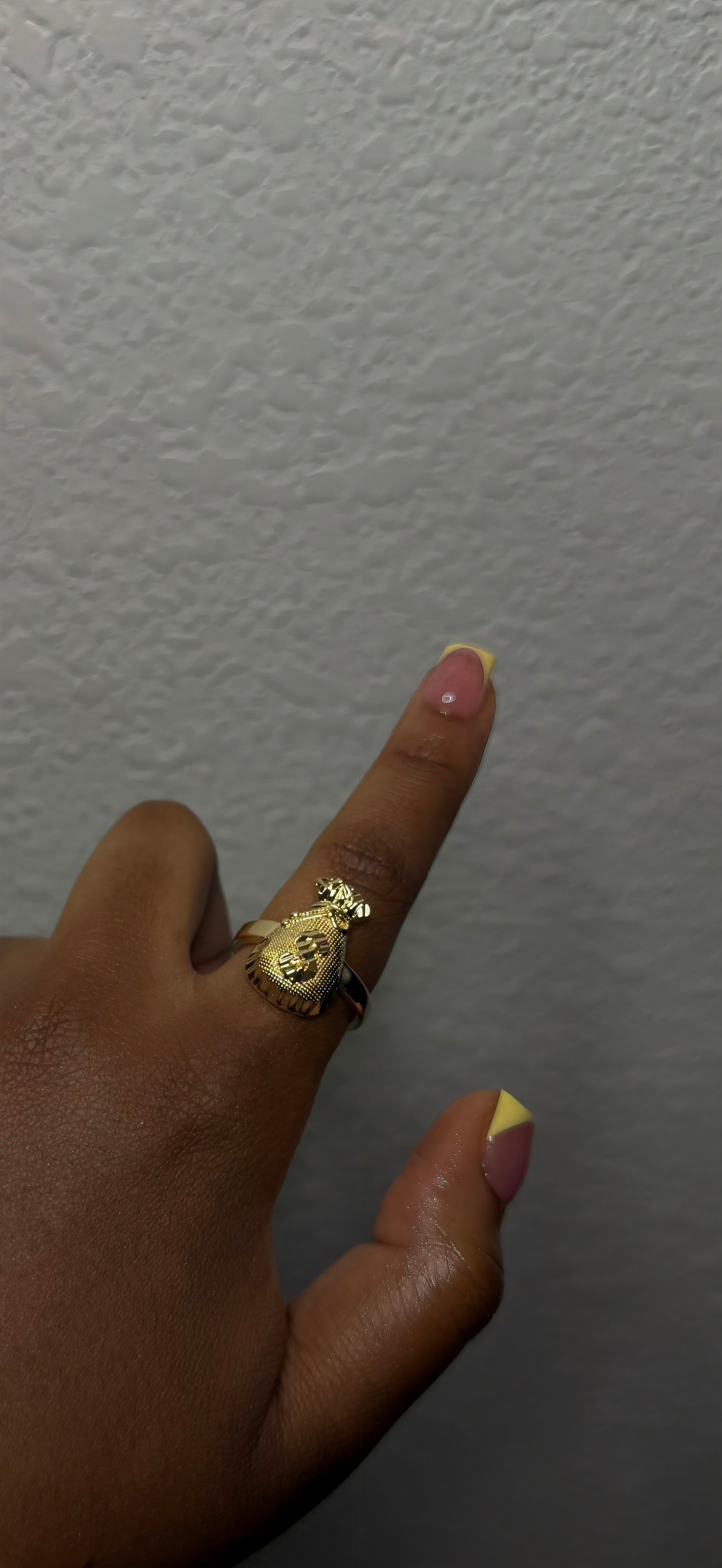 Money Bag Ring