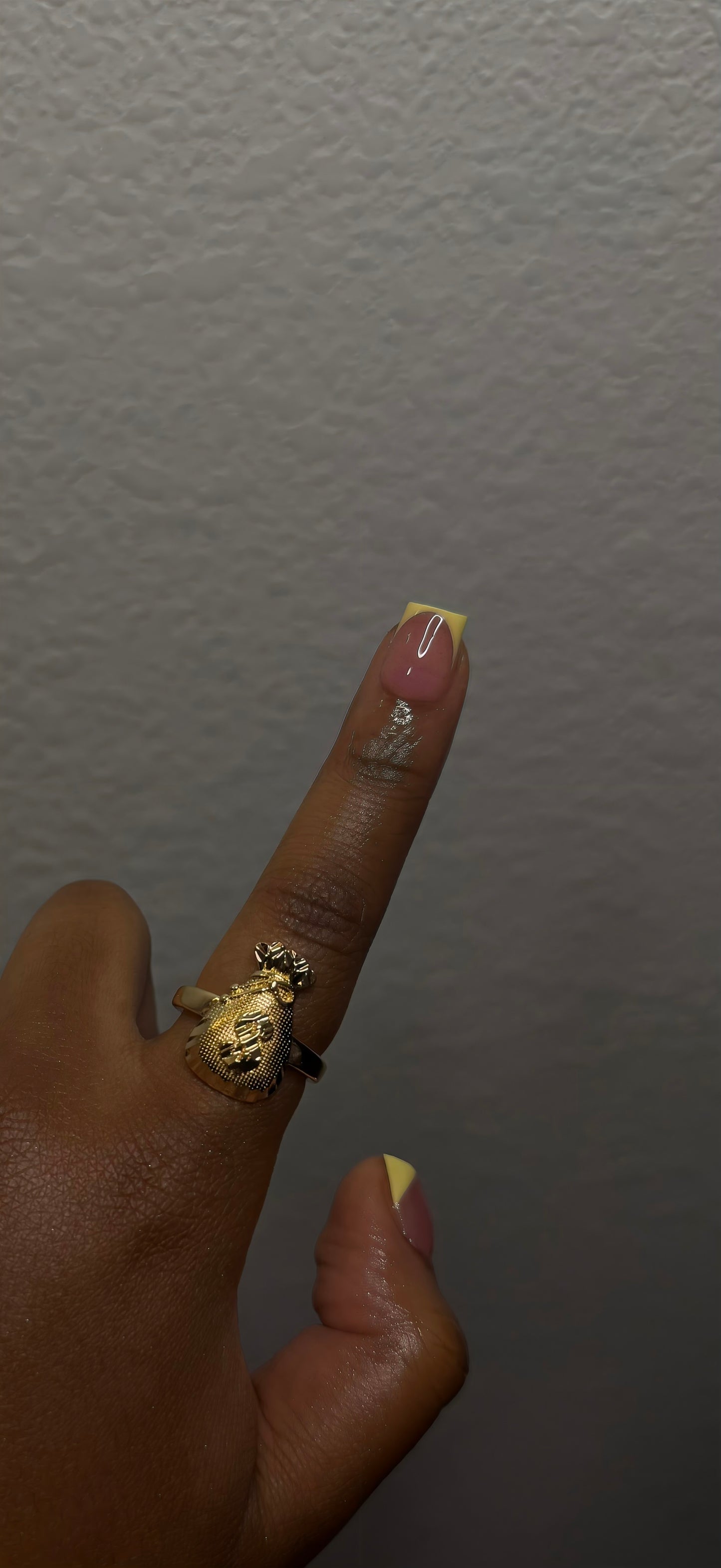 Money Bag Ring